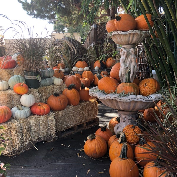 Wegman's Nursery Redwood City, CA