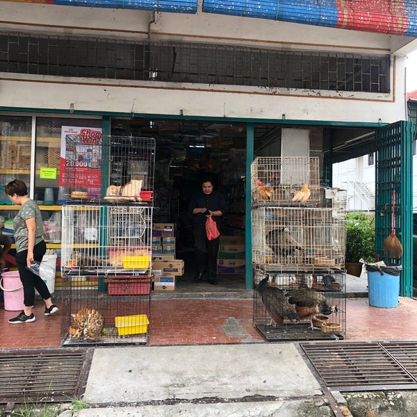 Photos At Hup Fatt Pets Pet Store In Ipoh