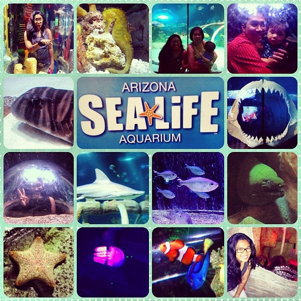 Foto scattata a Sea Life Aquarium da Luvi J. il 6/10/2013