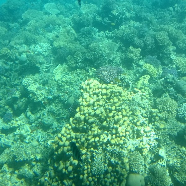 Red Sea Divers Hurghada