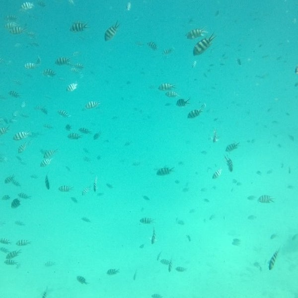 Red Sea Divers Hurghada