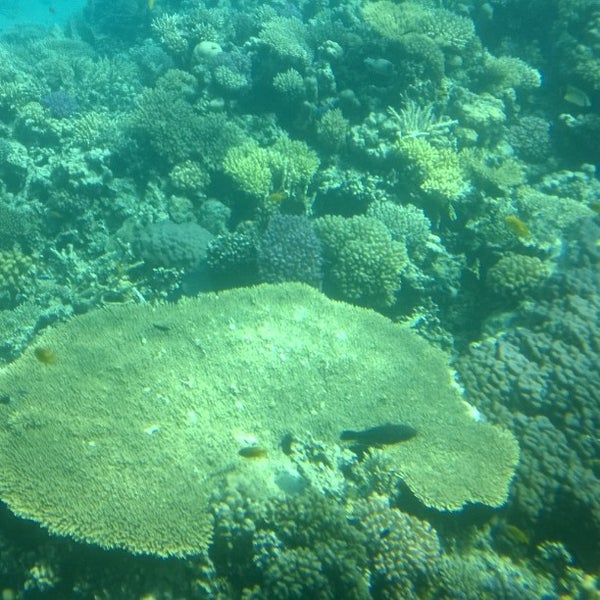 Red Sea Divers Hurghada