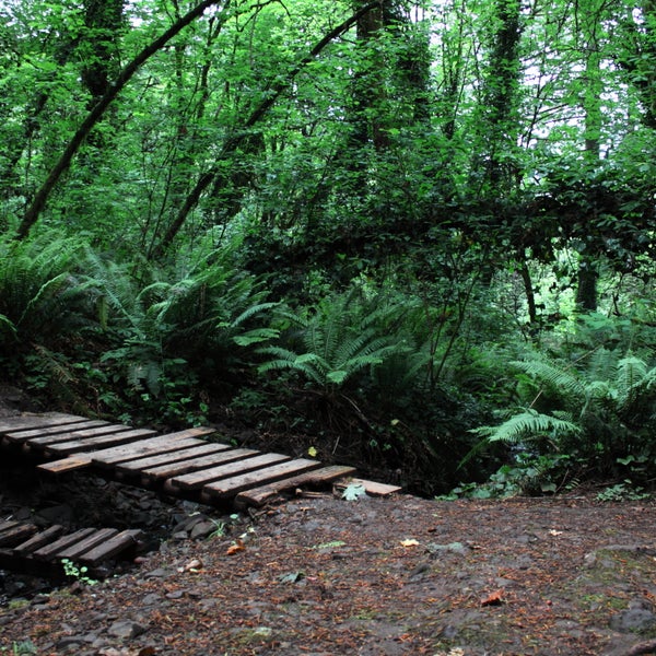 Croisan Trail Hiking Trail in Salem