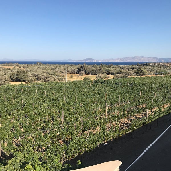 Foto diambil di Datça Vineyard &amp; Winery oleh Aydin D. pada 7/24/2022