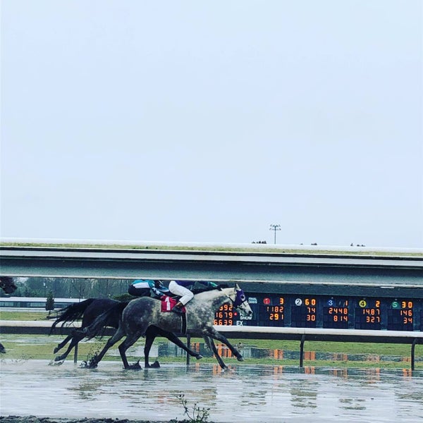 Portland Meadows Racing Portland Meadows (Now Closed) - North Portland - 5 tips