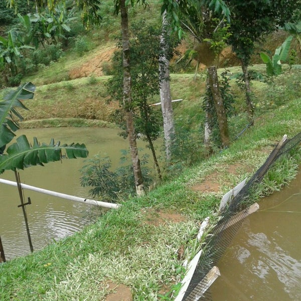 Bairro Amizade Jaraguá do Sul, SC