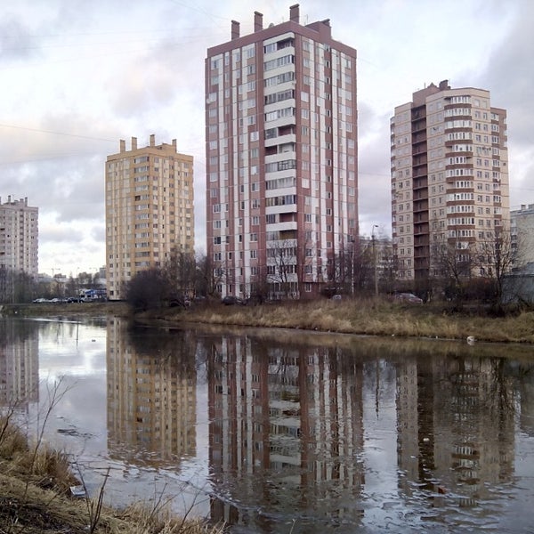 Локон пионерстроя спб Локон пионерстроя спб