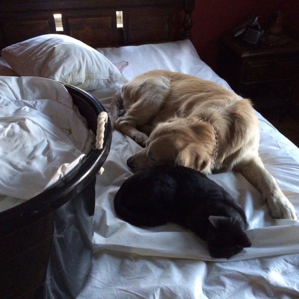 Dominick’s Pizzeria & Italian Restaurant Pizzeria in Quakertown