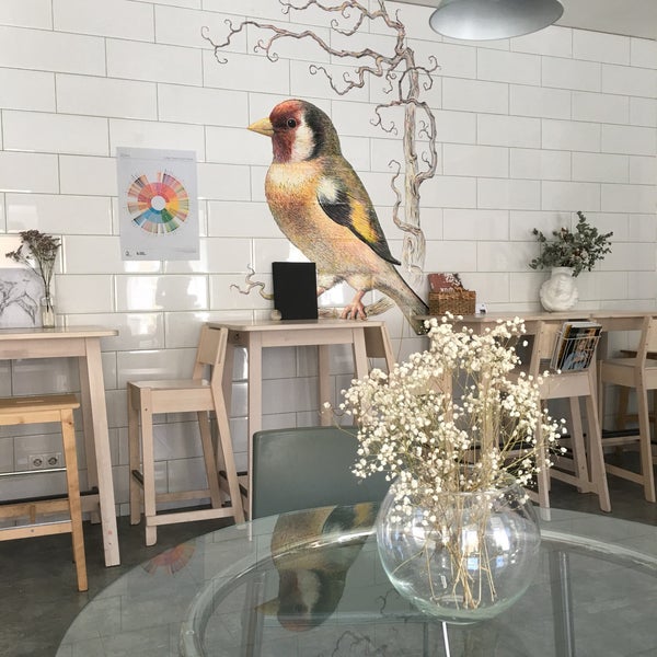 кофейня щегол. щегол питер кафе.