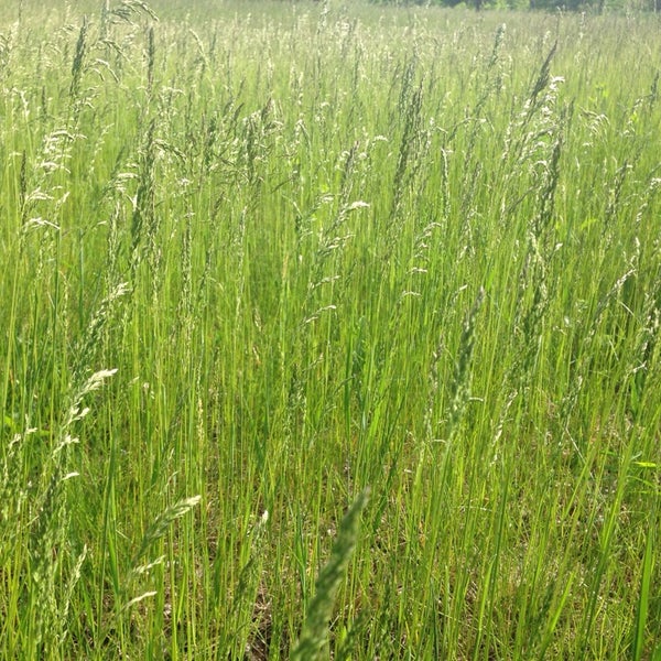 Как называются поля в экселе. Поле имени. Поле имени. Поле имени. Наименование полей в екселе.