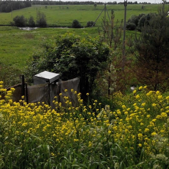 Пудомяги. Семейный доктор лор. Амбулатория пудомяги. Детский сад 32 пудомяги. Амбулатория пудомяги.