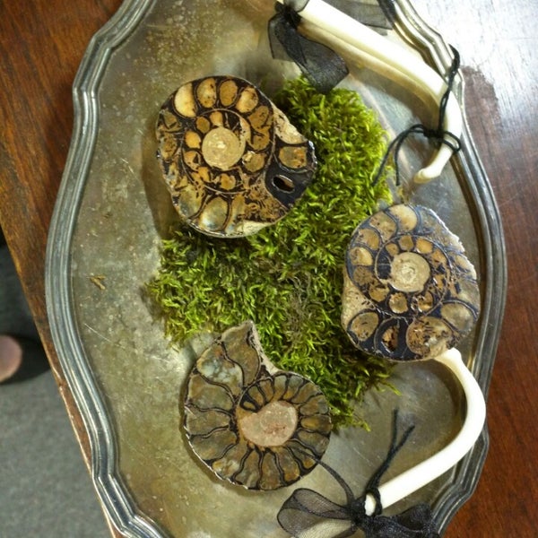 Noir Arts and Oddities Antique Store in Kansas City