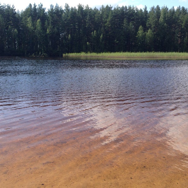 Змеиное озеро подольск