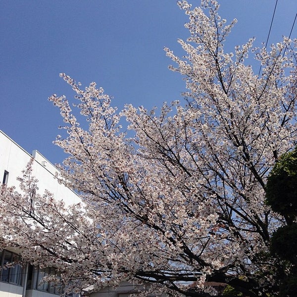 松山市青少年センター 松山市 愛媛県