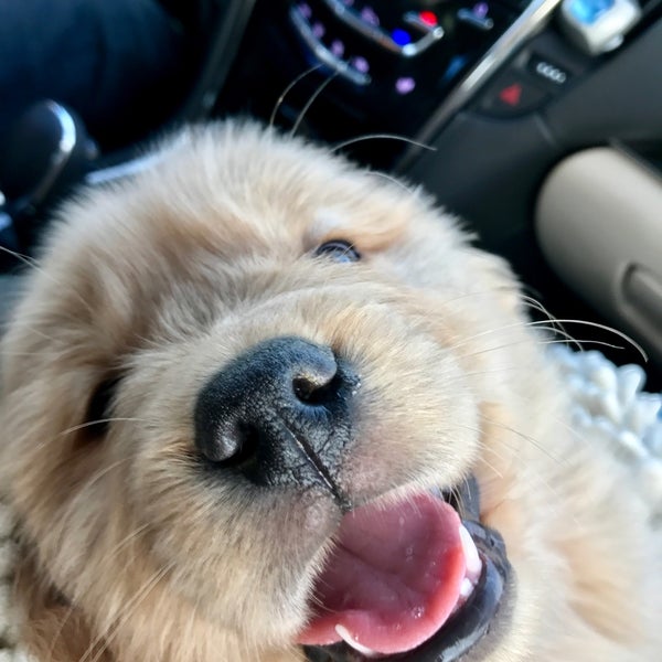 Gap View Ranch & Kennel Farm in Broadway