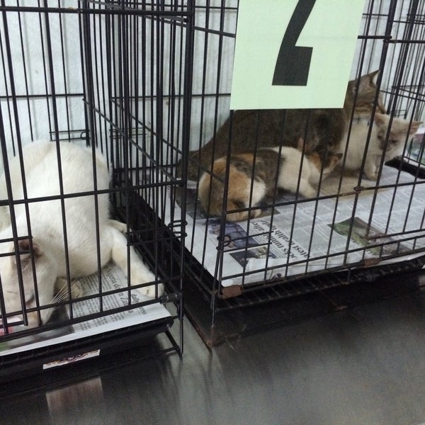 Klinik Veterinar Kepayan Kota Kinabalu Sabah