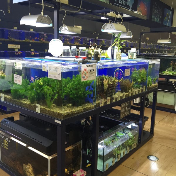 コメリパワー 水口店 水口町水口5914