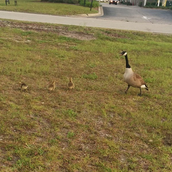 Tom Bush Collision Center Regency 10 Visitors