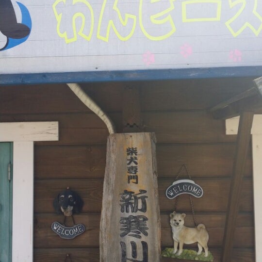 わんピース 犬のお風呂屋さん 新寒川荘 湘南柴犬専門 寒川のペットサービス
