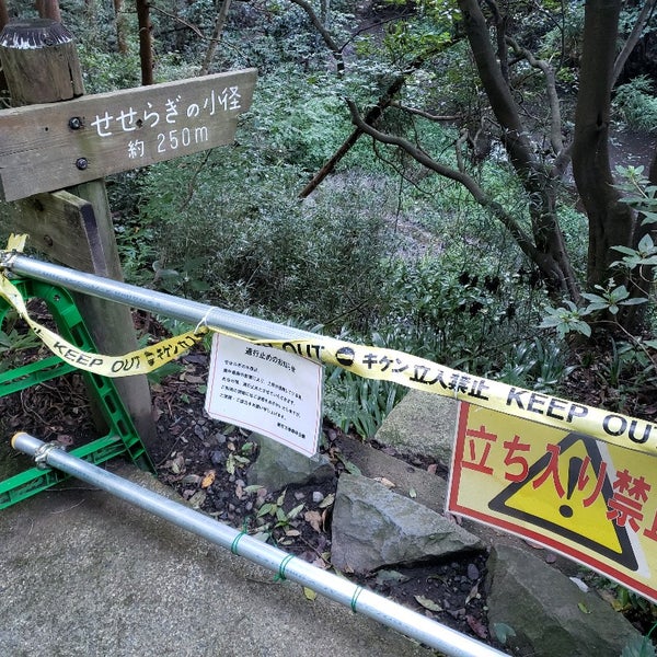 Fotos Em 散在ガ池森林公園 鎌倉湖畔 Floresta Em 鎌倉市