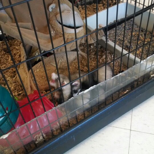 Jack's Pets and Aquarium 3718 Fishinger Blvd