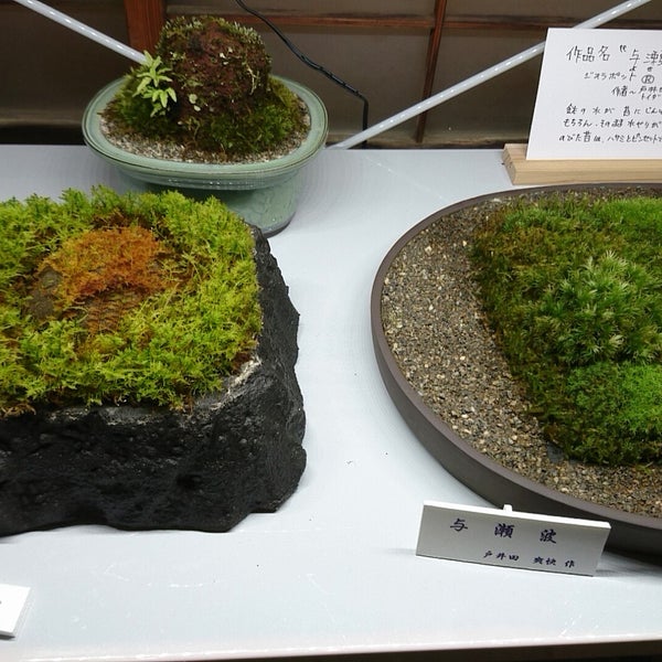 Photos At 苔むすび Kamakura Miscellaneous Shop In 鎌倉 Photos At 苔むすび Kamakura Miscellaneous Shop In 鎌倉