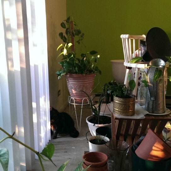 Village of Richton Park Village in Richton Park