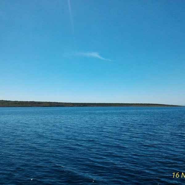 Озеро щирское псковская область