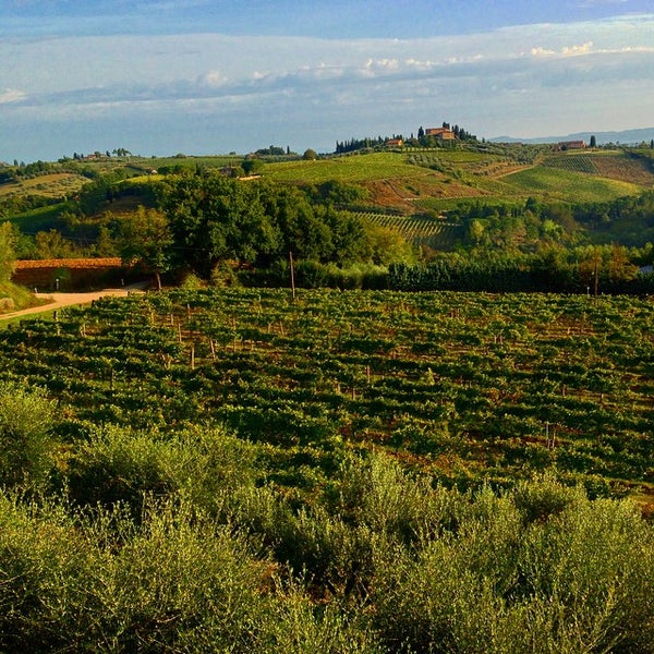 Photo taken at Tenuta Guardastelle - Agriturismo And Vineyard by Fausto M. on 9/18/2014
