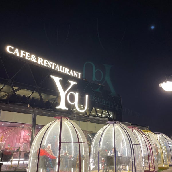 Cafe you 2024