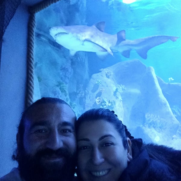 Photo taken at Funtastic Aquarium İzmir by Merve on 2/4/2023