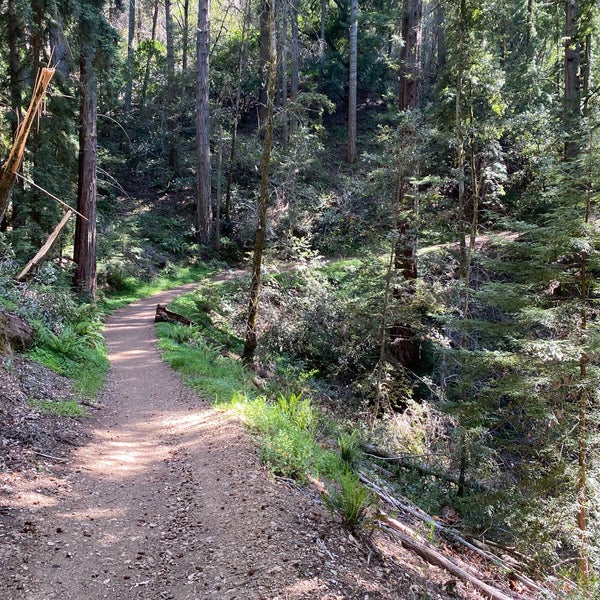 El Corte de Madera Open Space Preserve 15010 Skyline Blvd.