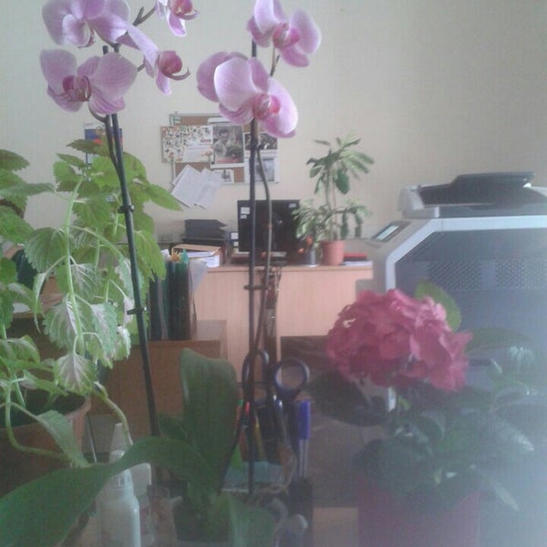 Гражданская 10 санкт-петербург. Гку нсо центр. Гку центр обеспечения. Кгку цод камчатского края здание. Улица томина 34 курган.