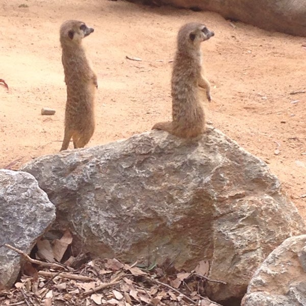 Foto diambil di National Zoo &amp; Aquarium oleh D B. pada 10/20/2014