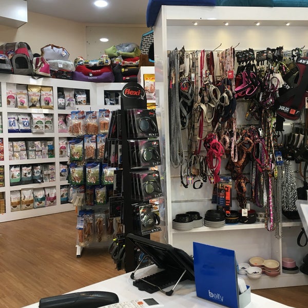 ok google nearest pet store