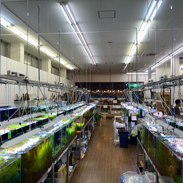 チャーム館林店 群馬県館林市近藤町１７８ ９６