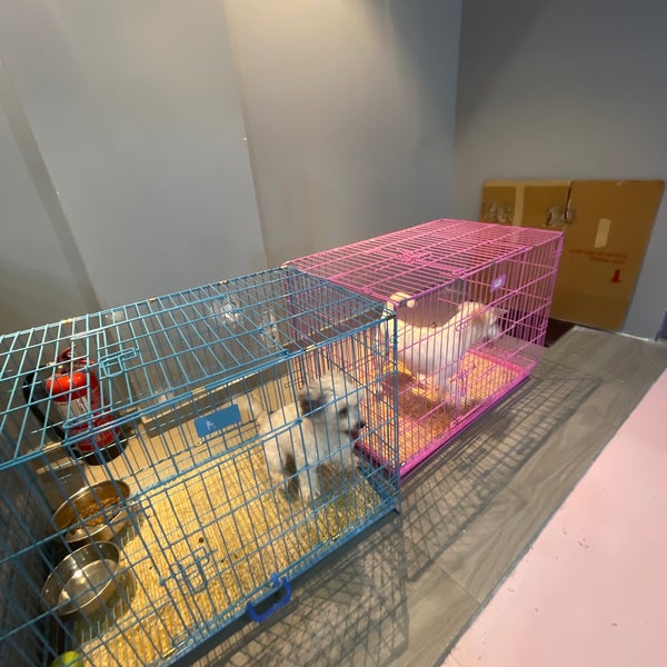Снимок сделан в Joon Veterinary Clinic &amp; Pet Shop пользователем IBRAHIM A. 9/12/2022