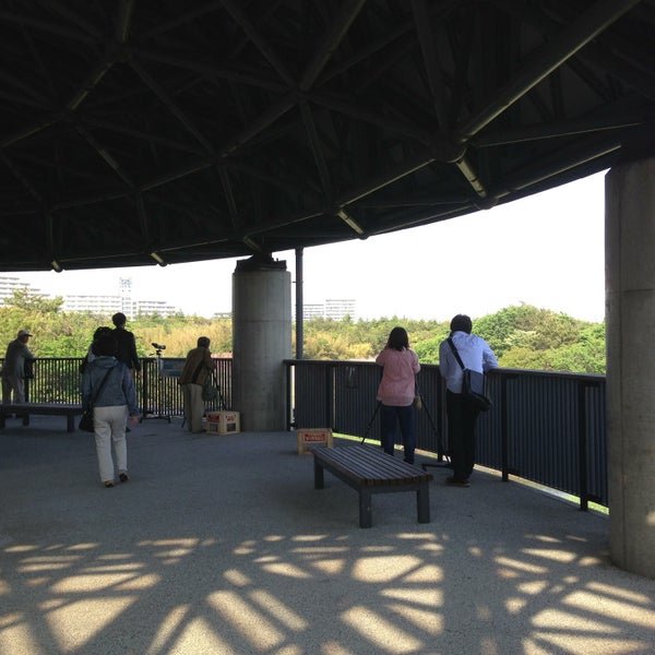 鳥類園ウォッチングセンター 葛西 2 Tips From 336 Visitors