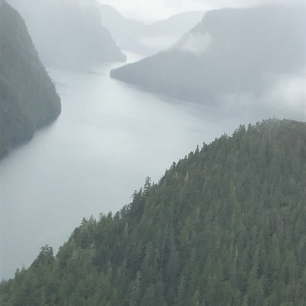 Foggy Fjord