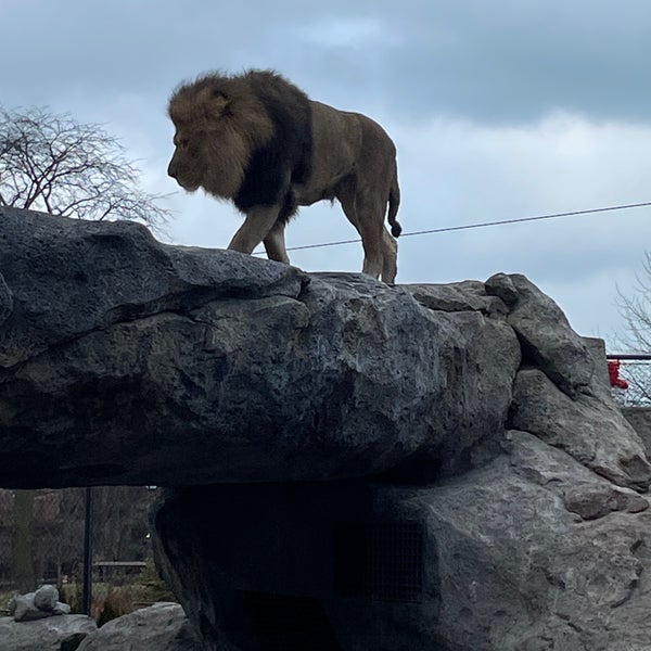 12/26/2023 tarihinde Debbie W.ziyaretçi tarafından Lincoln Park Zoo'de çekilen fotoğraf