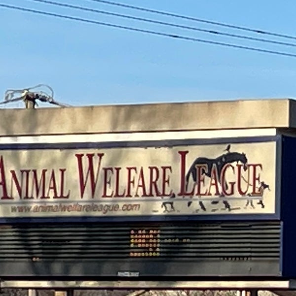 Animal Welfare League - Chicago Ridge, IL Animal Welfare League - Chicago Ridge, IL