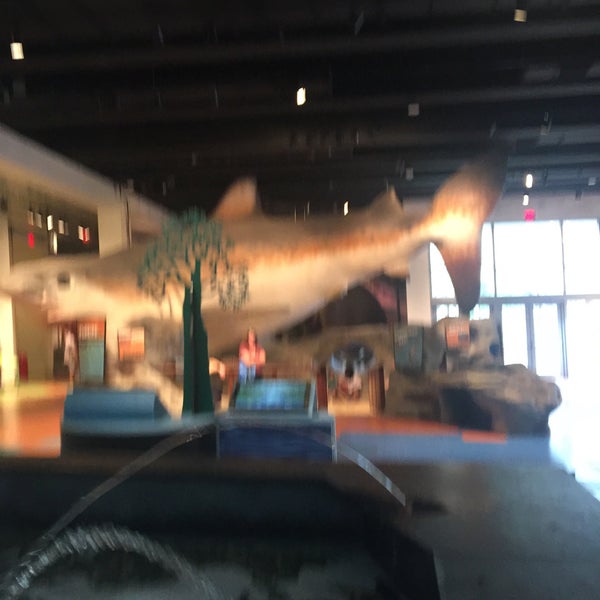 Photo taken at Museum of Discovery and Science by Richard T. on 2/19/2017