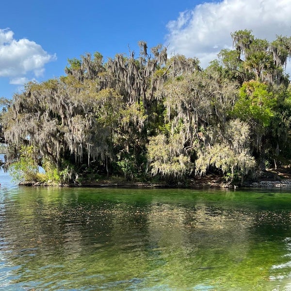 Blue Springs of Saula