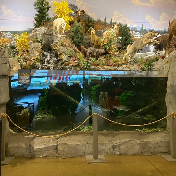 Cabela s Sporting Goods Retail in Countryside Fall Creek
