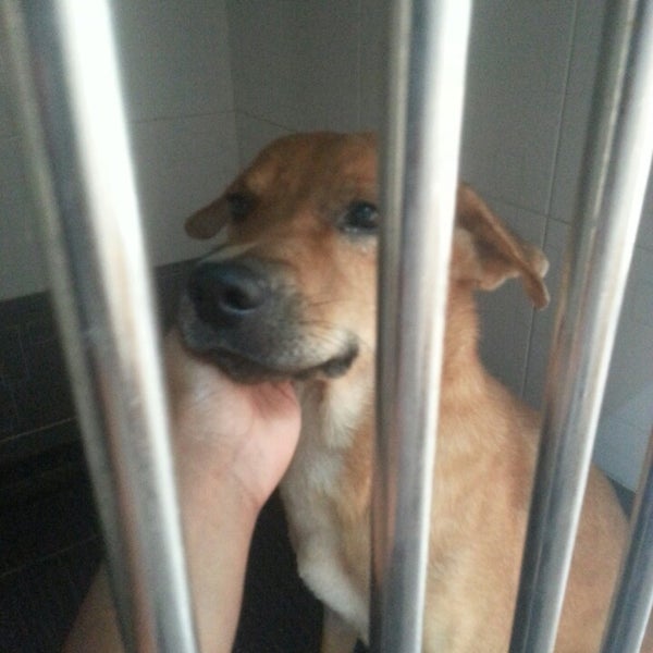 Photos At Happy Paws Veterinary Clinic Veterinarian