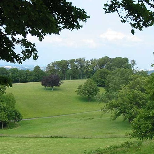 Cardiff Natural Burial Meadow Cardiff, Cardiff