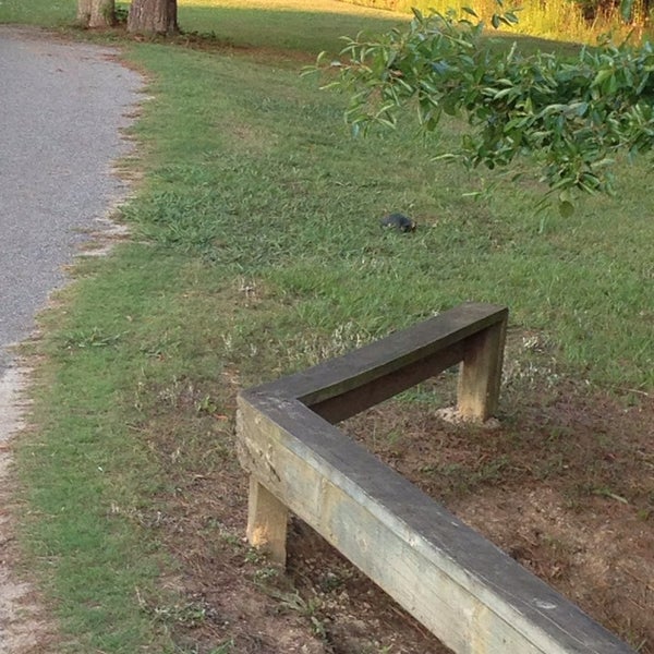 Pine Forest Country Club Summerville, SC