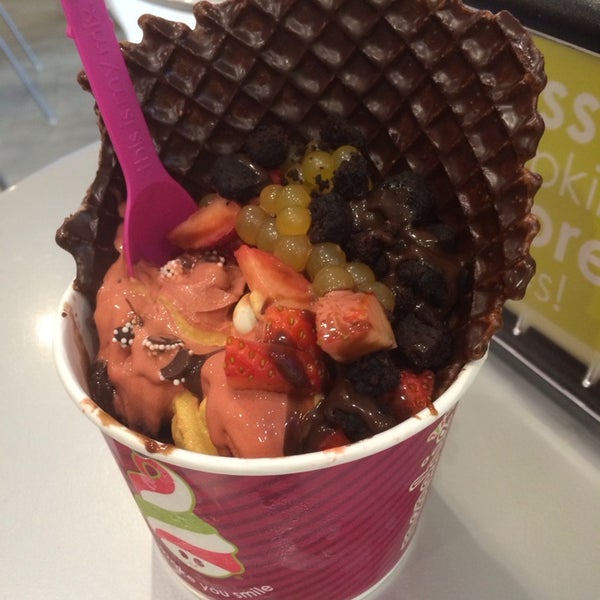 Menchie's Frozen Yogurt Neartown Montrose Houston, TX