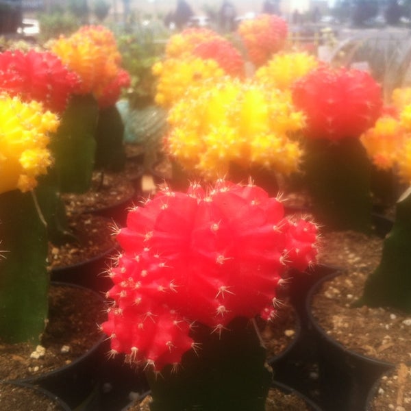 Photos at Lowe's Salt Lake City, UT