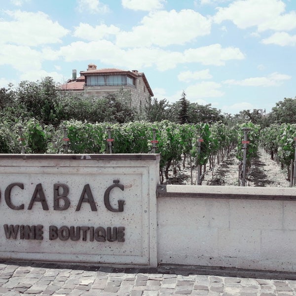 Photo prise au Kocabağ Şarapları par 👸Meriç B. le7/8/2018